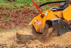 Best Lawn Disease Treatment  in Braddock Heights, MD