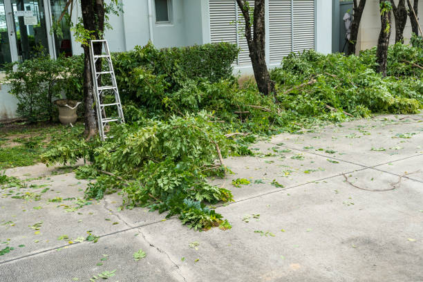 Best Lawn Irrigation Installation and Maintenance  in Braddock Heights, MD